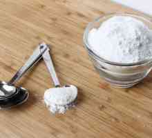 Как да направите захар на прах у дома за декорация и печене?