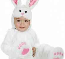Как да направите своя костюм за зайци?