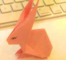 Как да направите заек от хартия: майсторски класове