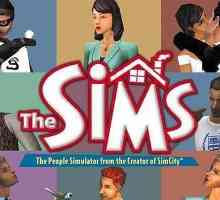 Колко скоро ще излезе "The Sims 5" в Русия