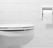 Как да премахнете капака от тоалетната с бутон: алгоритъмът на действие