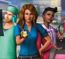Как да напишем отчети в "The Sims 4": основните начини и възможни проблеми