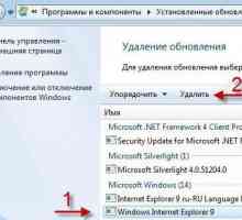 Как мога да изтрия Internet Explorer от Windows 7 или от друга система?