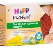 Как да използвате чай Hipp за кърмещи майки?