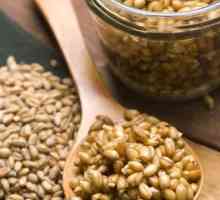 Как да използвате правилно покълната пшеница