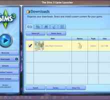 Как да инсталираме добавки към `Sims 3`: инструкции