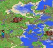 Как да инсталирате карти на "Minecraft" и от какво се състоят