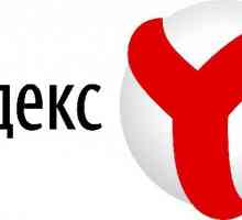 Как да инсталирате Yandex.Browser? Инструкции за начинаещи