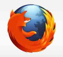 Как да инсталирате, актуализирате и как да премахнете приставката от Firefox?