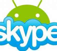 Как да инсталирате Skype на Android? Подробни указания