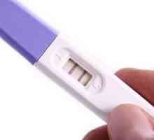 Как да знаете, че сте бременна, без тест? Начини за ядене!