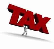 Как да разберете данъчните дългове на лицата без проблеми