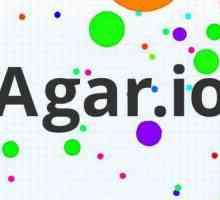 Как в "Агарио" да играе с приятел? Как да играем `Agario` на един сървър?