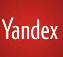 Как да добавите разширения към Yandex.Browser? Какви добавки да избера за уеб браузър?