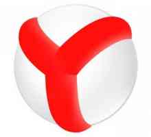Как да изчистите кеша в "Yandex": инструкцията за началните потребители
