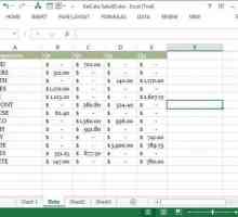 Как в "Excel" да замените точка с запетая? Персонализирайте Excel