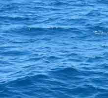 Както във водата понижена: смисъла на фразеологията и тълкуването