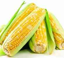 Как да готвя царевица и да се предпазите от плодово отравяне