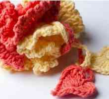 Как да плета Bastwatch Crochet: няколко опции