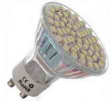 Как да изберем LED лампа? Характеристики, видове и производители