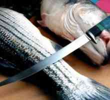 Как да изберем нож за риба. Качествен нож за рязане на риба