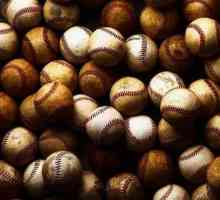 Как да изберем добър бейзбол, прилеп и ръкавица?