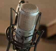 Как да изберем добър микрофон за вокали? Чувствителност на микрофона