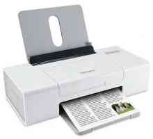 Как да изберем принтер за домашна употреба? Каква фирма да купи цветен принтер за къщата?