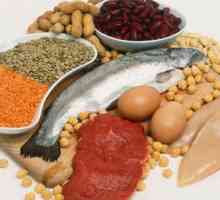 Как да изберем храни с най-високо съдържание на протеини?