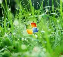 Как да изпълнявате процеса на зареждане на зареждащ Windows XP