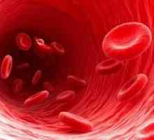 Как е взаимосвързана кръвната група на децата и родителите? Правила за прехвърляне по наследство
