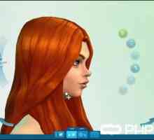Как да стартираме Sims 4 или All за стартиране на "sims"