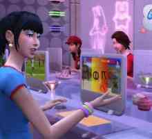 Как да започнете `The Sims 4`. Започваме лиценза и "пирати"