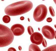 Как се нарича течната част от кръвта?