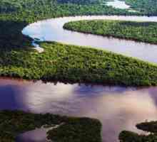 Коя е най-дългата река в света? Характеристики на Amazon