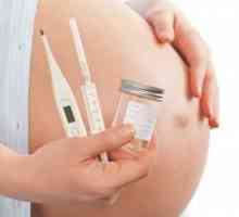 Какви тестове се правят по време на бременност