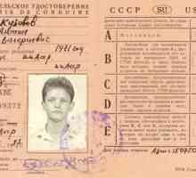 Какви са категориите на шофьорските книжки в Украйна