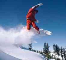 Какво представляват зимните спортове? Биатлон. Бобслей. Алпийски ски. Ски бягане. Скокове от…