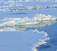 Какви континенти се измиват от Арктическия океан? Неговите характеристики