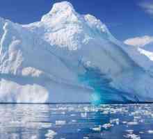 Какви океани измиват Антарктида? Климатът и екосистемата на Антарктика