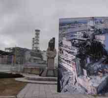 Какви са ползите от бедствието в Чернобил?