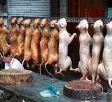 Кои породи кучета Корейците ядат?