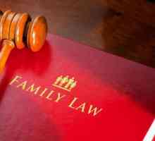 Каква трябва да бъде размерът на издръжката, ако съпругът не работи официално? Член 83 от Семейния…