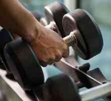 Какъв ефект оказват упражненията с тежести? Резултатът от упражненията с тежест е какво?