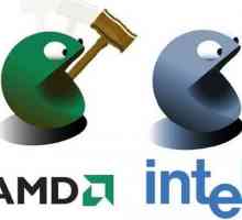 Кой процесор е по-добър: AMD или Intel с x86 архитектура