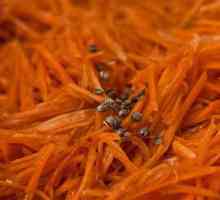 Какъв е съставът на подправката на моркова в корейски?