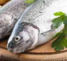 Какъв витамин в дадена риба преобладава? Защо е полезно да ядете риба?