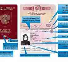 Каква е датата на производство на паспорта? Срокът за производство на нов и стар паспорт