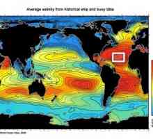 Каква е солеността на Атлантическия океан?