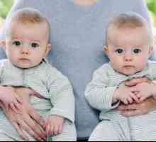 Каква е вероятността за раждане на близнаци? Какво определя раждането на близнаците?